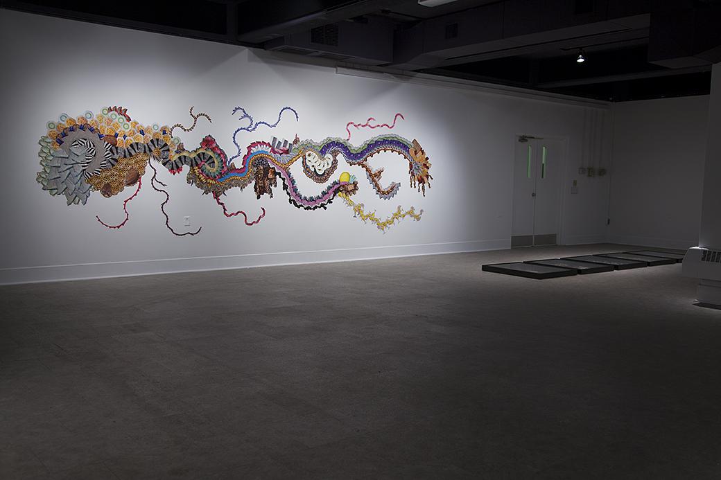 30 Hours in One Weekend (Klemm Gallery, Adrian Michigan)